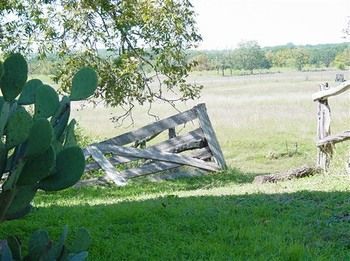 Back Forty Of Fredericksburg Bed and Breakfast Exterior foto